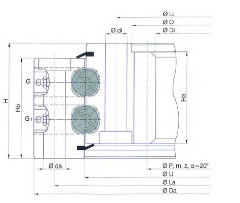 - ¿ Qué?973.2.22.00.D.6 rodadura de bolas de contacto de dos filas de cuatro puntos con engranaje interno, 973x786x97 mm proveedor