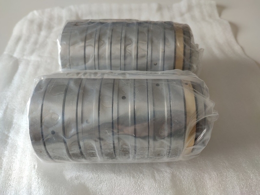 F-43964.T4AR rodamientos de extrusora de alimentos de varias etapas con eje proveedor