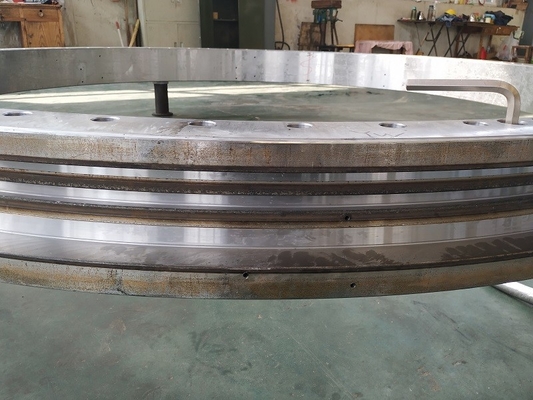 Rodamiento de ruedas de doble fila con dientes 4548.6x3970x187mm para máquinas de la industria pesada proveedor